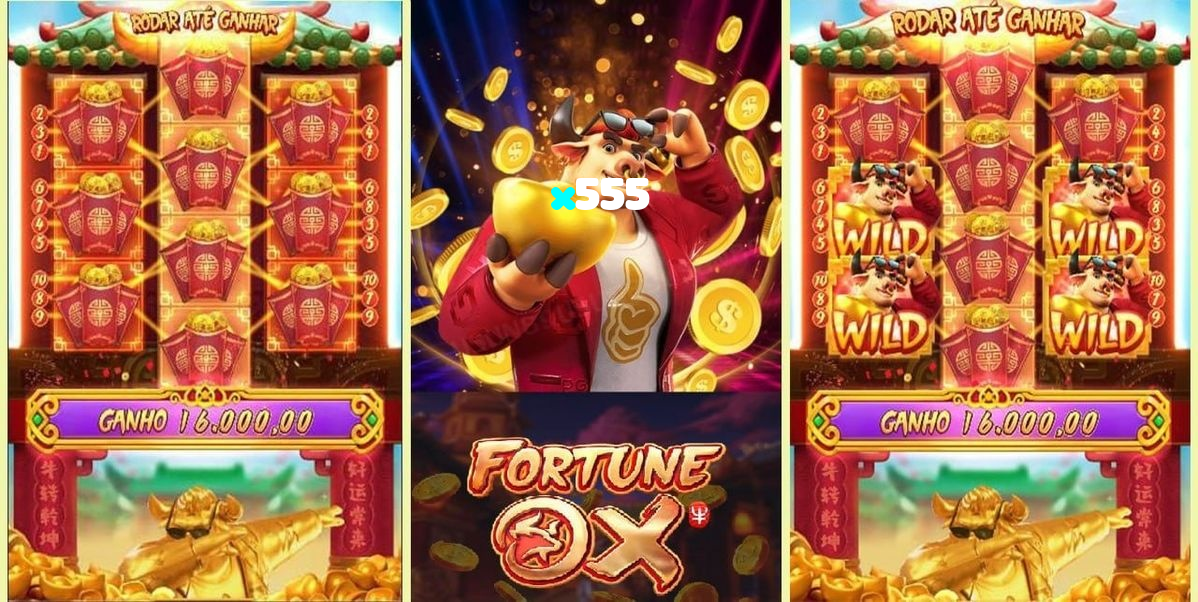 x555